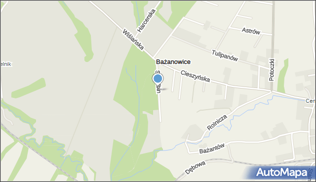 Bażanowice, Strzelbin, mapa Bażanowice