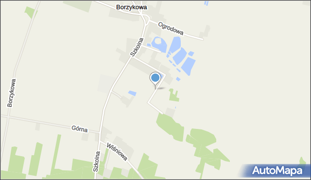 Borzykowa gmina Żytno, Strażacka, mapa Borzykowa gmina Żytno