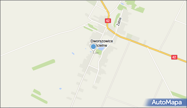 Dworszowice Kościelne, Strażacka, mapa Dworszowice Kościelne