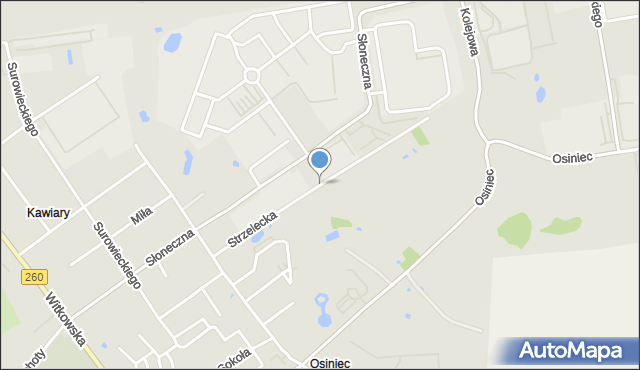 Gniezno, Strzelecka, mapa Gniezna