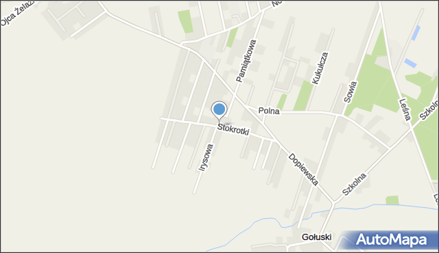 Gołuski, Stokrotki, mapa Gołuski