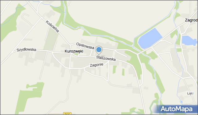 Kurozwęki, Staszowska, mapa Kurozwęki