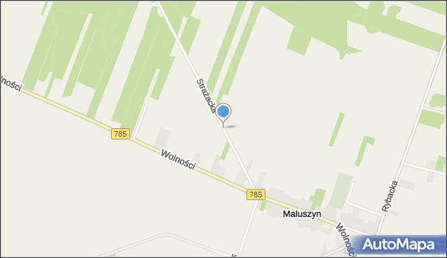 Maluszyn gmina Żytno, Strażacka, mapa Maluszyn gmina Żytno