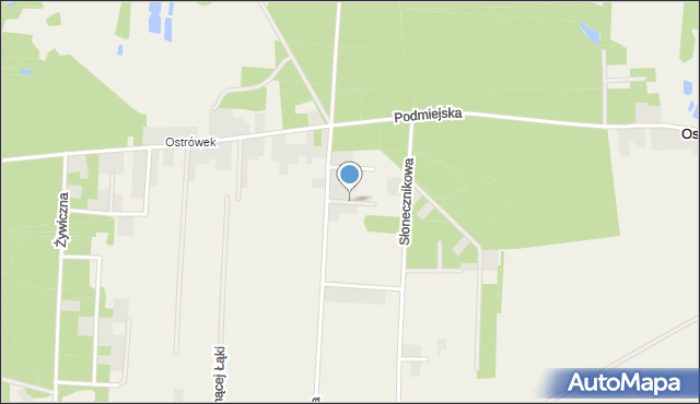 Ostrów gmina Łask, Stokrotek, mapa Ostrów gmina Łask