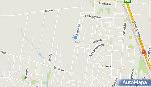 Pszczyna, Strzelecka, mapa Pszczyny