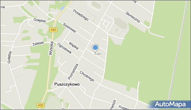 Puszczykowo powiat poznański, Strażacka, mapa Puszczykowo powiat poznański