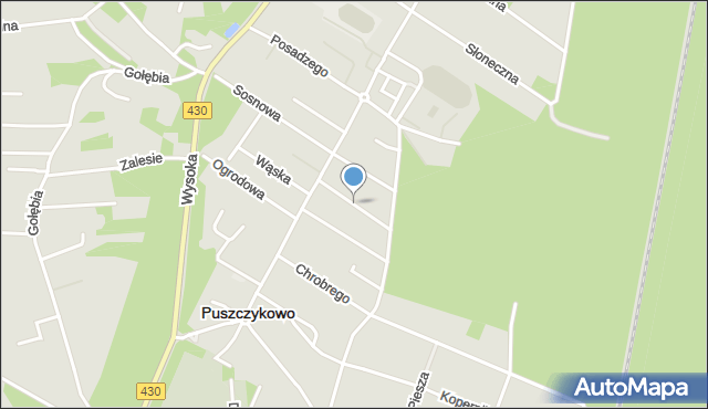 Puszczykowo powiat poznański, Strażacka, mapa Puszczykowo powiat poznański