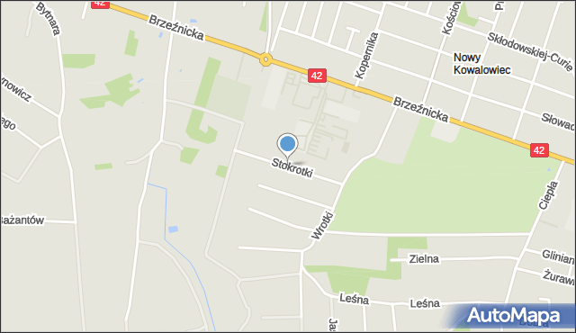 Radomsko, Stokrotki, mapa Radomsko