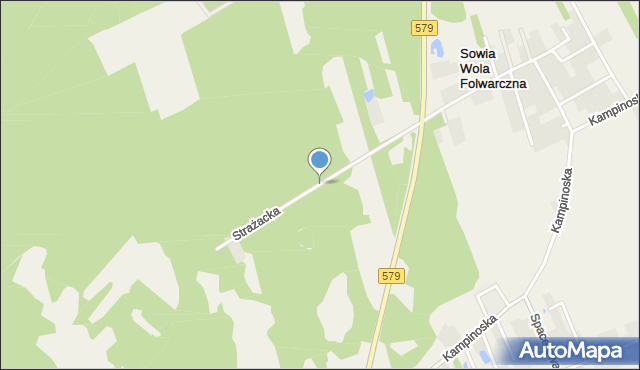 Sowia Wola Folwarczna, Strażacka, mapa Sowia Wola Folwarczna