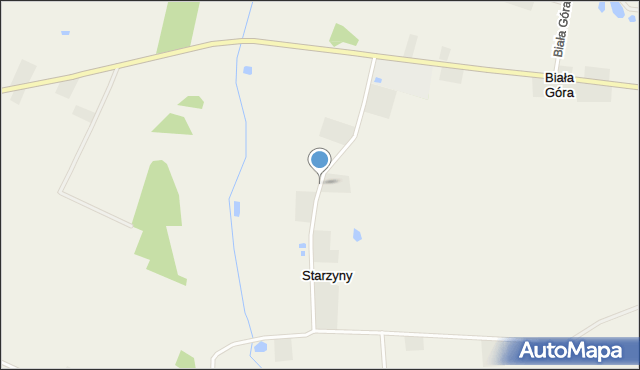 Starzyny gmina Wartkowice, Starzyny, mapa Starzyny gmina Wartkowice