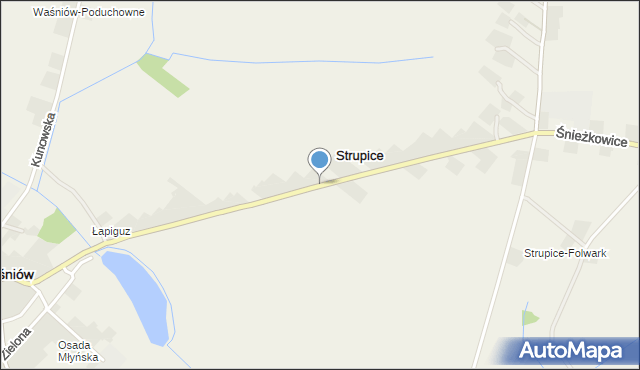 Strupice gmina Waśniów, Strupice, mapa Strupice gmina Waśniów