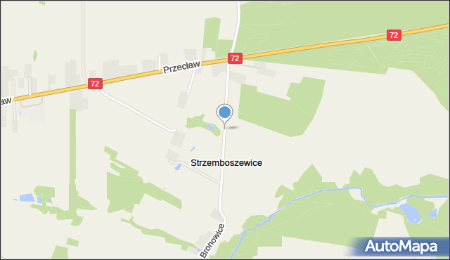 Strzemboszewice, Strzemboszewice, mapa Strzemboszewice