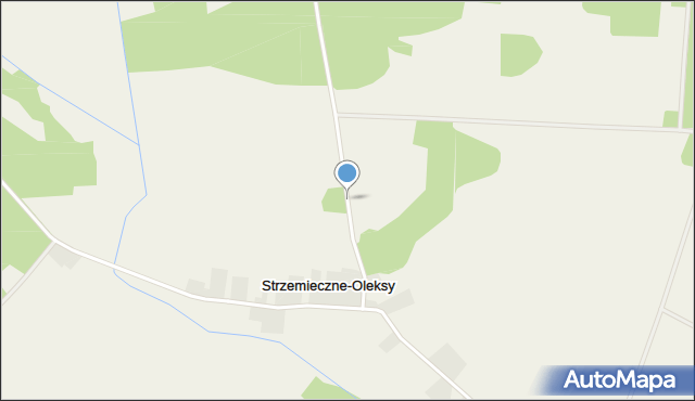 Strzemieczne-Oleksy, Strzemieczne-Oleksy, mapa Strzemieczne-Oleksy