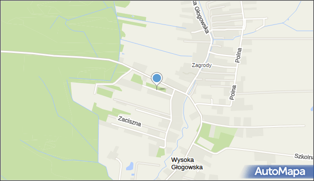 Wysoka Głogowska, Stalowa, mapa Wysoka Głogowska