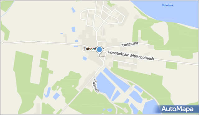 Zaborówiec, Staroleszczyńska, mapa Zaborówiec