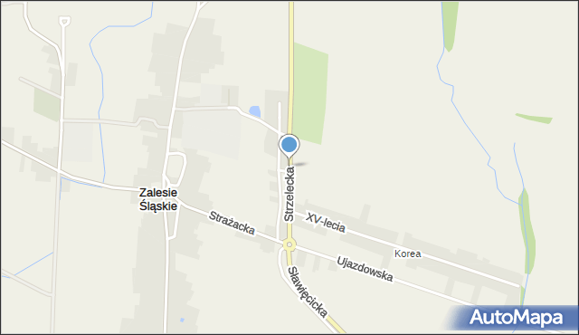 Zalesie Śląskie, Strzelecka, mapa Zalesie Śląskie