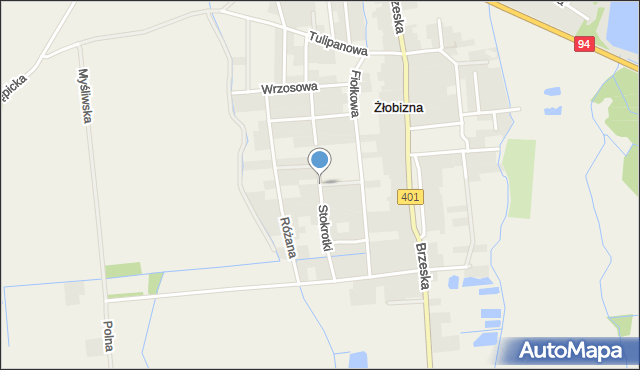 Żłobizna, Stokrotki, mapa Żłobizna