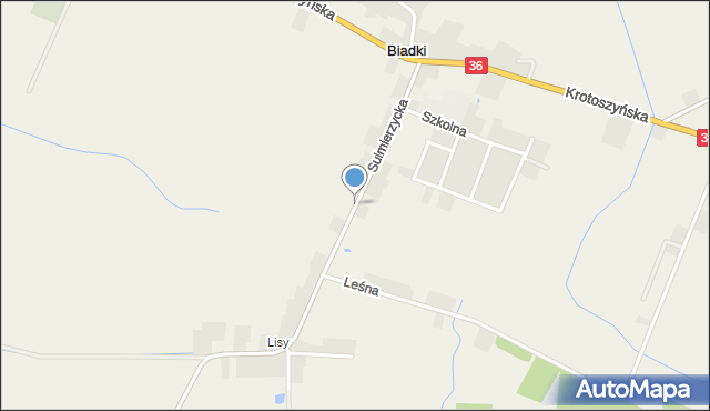 Biadki, Sulmierzycka, mapa Biadki