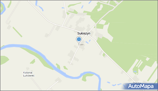 Sułoszyn gmina Firlej, Sułoszyn, mapa Sułoszyn gmina Firlej