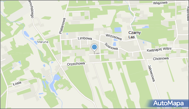 Czarny Las gmina Grodzisk Mazowiecki, Świerkowa, mapa Czarny Las gmina Grodzisk Mazowiecki