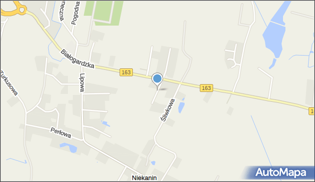 Niekanin, Świerkowa, mapa Niekanin