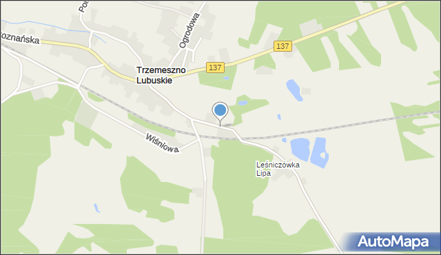 Trzemeszno Lubuskie, Świebodzińska, mapa Trzemeszno Lubuskie