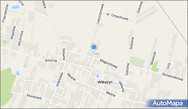 Wilkszyn, św. Józefa, mapa Wilkszyn