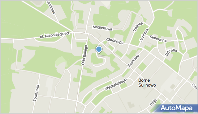 Borne Sulinowo, Szpitalna, mapa Borne Sulinowo