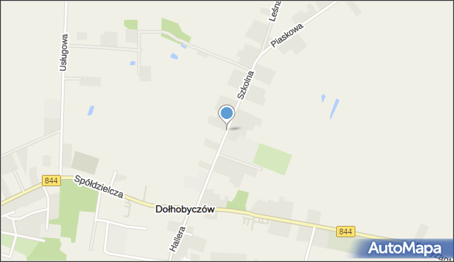 Dołhobyczów, Szkolna, mapa Dołhobyczów