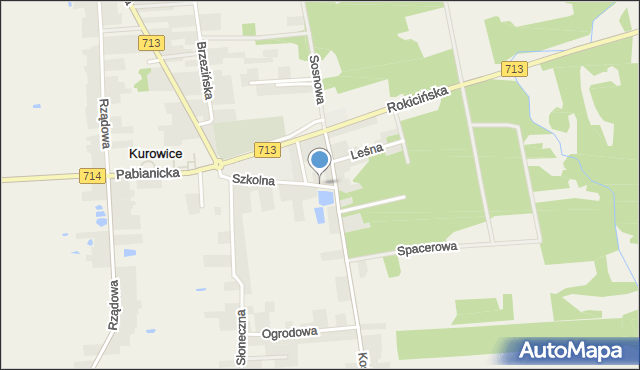 Kurowice Kościelne, Szkolna, mapa Kurowice Kościelne