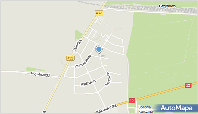 Leszno, Szyszkowa, mapa Leszno