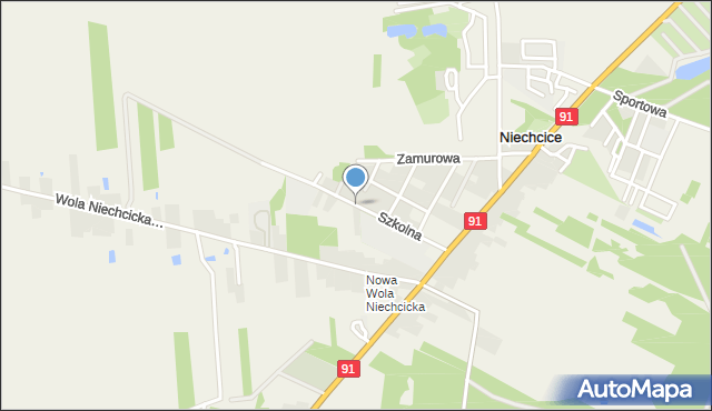 Niechcice, Szkolna, mapa Niechcice