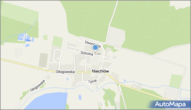 Niechlów, Szkolna, mapa Niechlów