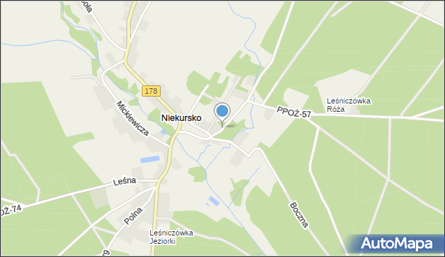 Niekursko, Szkolna, mapa Niekursko