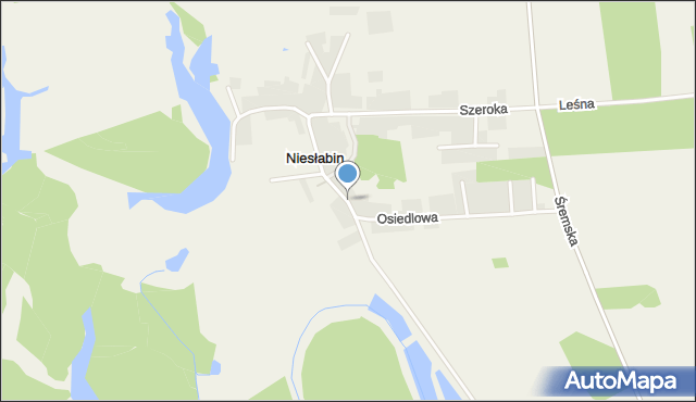 Niesłabin, Szkolna, mapa Niesłabin