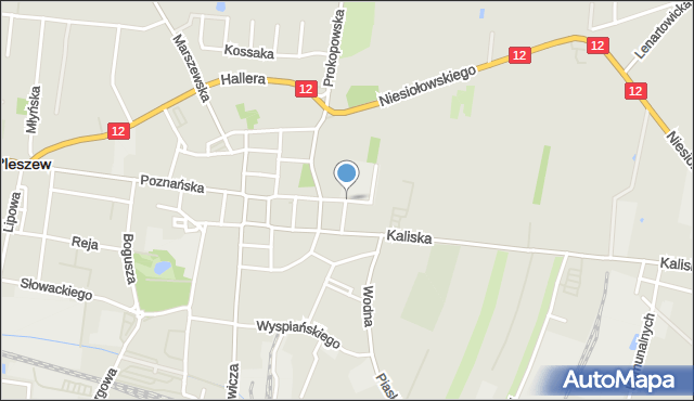 Pleszew, Szkolna, mapa Pleszew