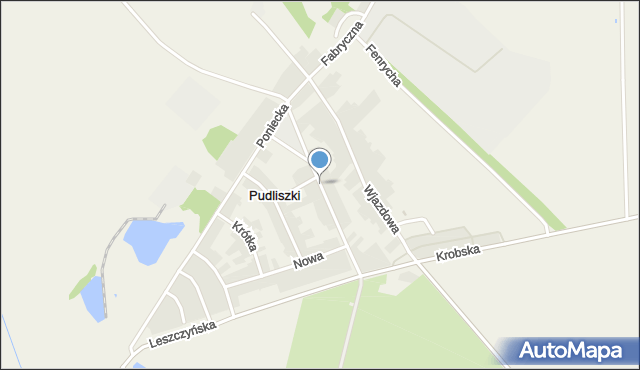 Pudliszki, Szkolna, mapa Pudliszki