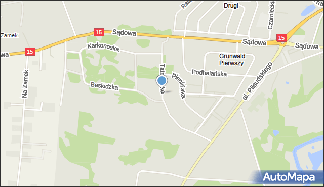 Brodnica, Tatrzańska, mapa Brodnica