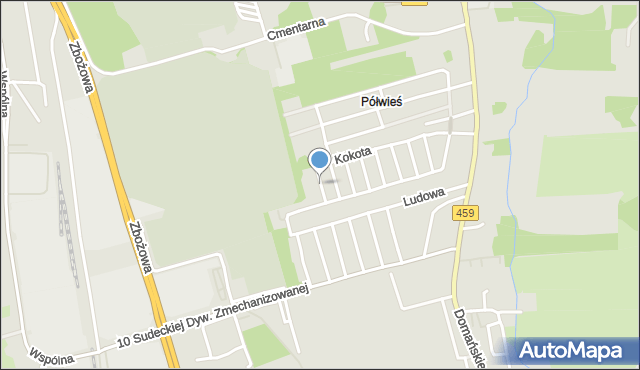 Opole, Taszyckiego Witolda, prof., mapa Opola