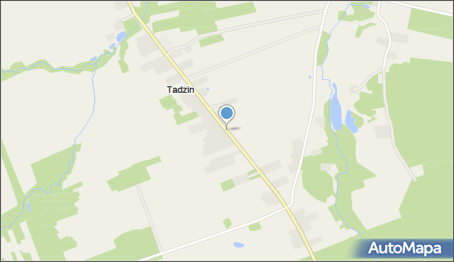Tadzin gmina Brzeziny, Tadzin, mapa Tadzin gmina Brzeziny