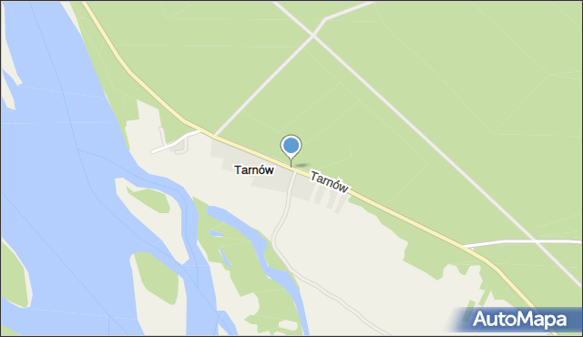Tarnów gmina Wilga, Tarnów, mapa Tarnów gmina Wilga