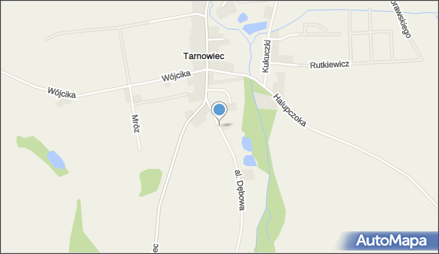 Tarnowiec gmina Zawonia, Tarnowiec, mapa Tarnowiec gmina Zawonia