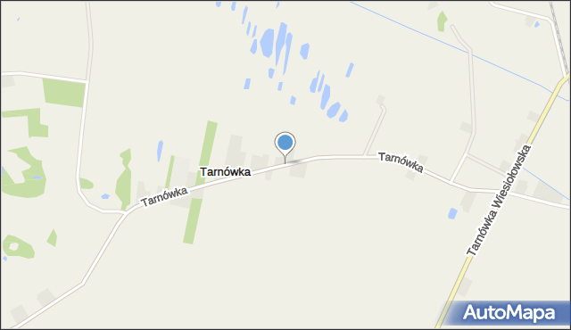 Tarnówka gmina Dąbie, Tarnówka, mapa Tarnówka gmina Dąbie