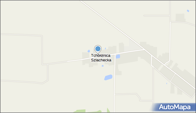 Tchórznica Szlachecka, Tchórznica Szlachecka, mapa Tchórznica Szlachecka