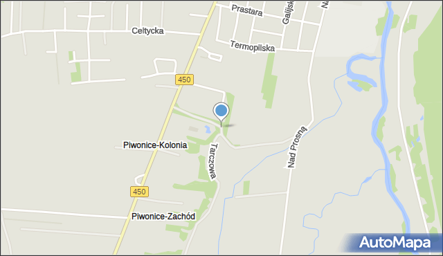 Kalisz, Toporowa, mapa Kalisza