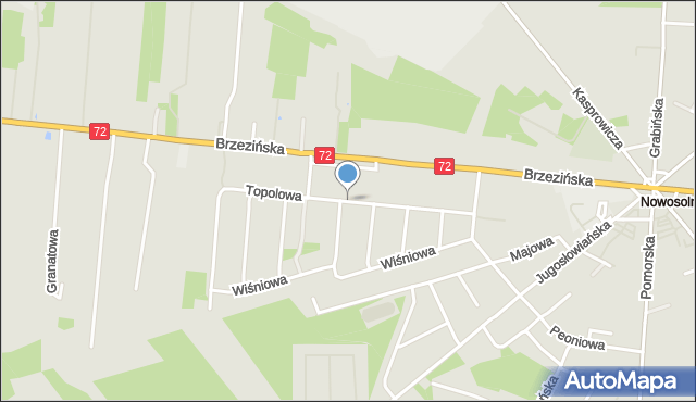 Łódź, Topolowa, mapa Łodzi