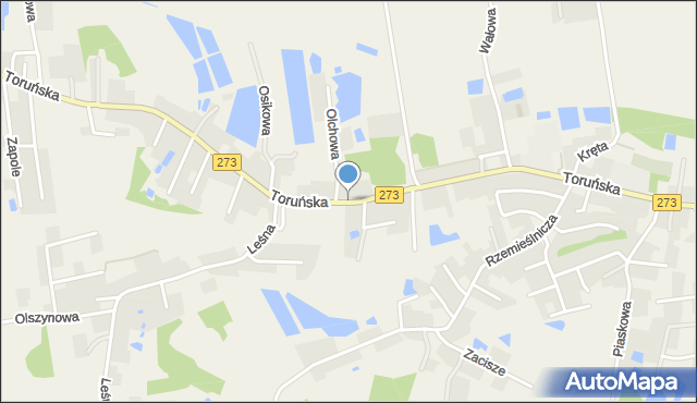 Mała Nieszawka, Toruńska, mapa Mała Nieszawka