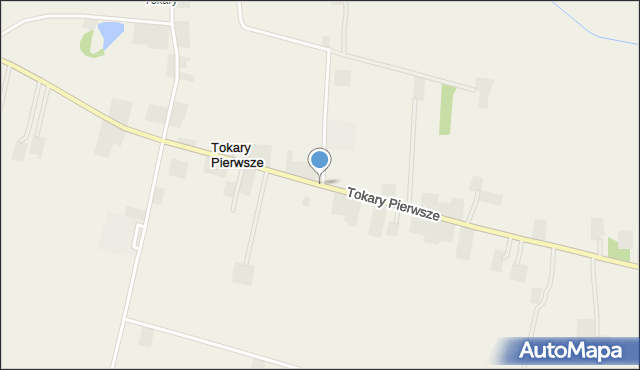 Tokary Pierwsze, Tokary Pierwsze, mapa Tokary Pierwsze