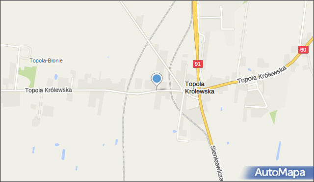 Topola Królewska, Topola Królewska, mapa Topola Królewska