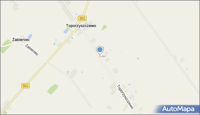 Toporzyszczewo, Toporzyszczewo, mapa Toporzyszczewo